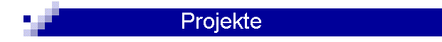 Projekte